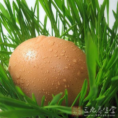 經常食用雞蛋，可增強記憶