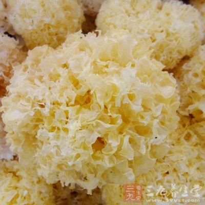 白木耳放入水中浸泡約5—6小時