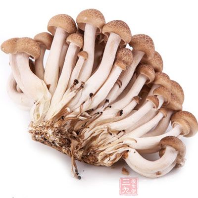 蟹味菇切除根蒂