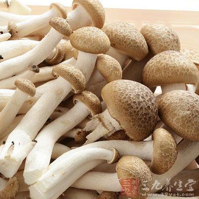 熬制3小時後，放入玉米塊、蟹味菇