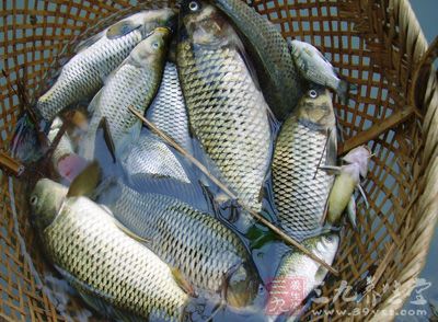 可多吃魚類食物 可多吃魚類食物