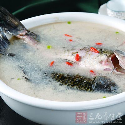 清炖鲫魚湯做法二