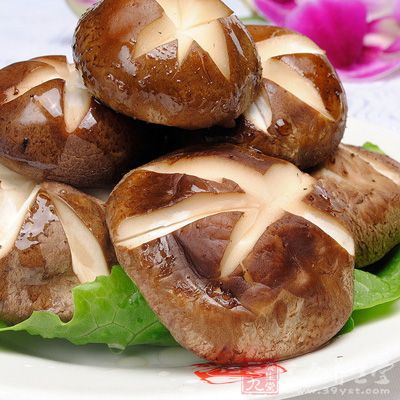 蕈類中的香菇