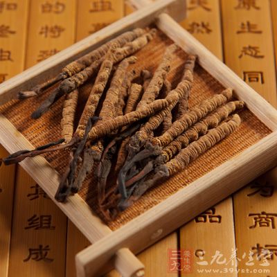 冬蟲夏草洗淨