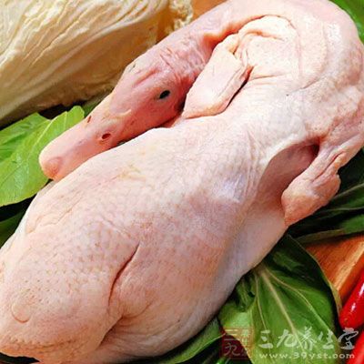 鴨肉中的脂肪酸熔點低，易於消化