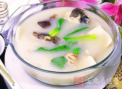 家常魚頭豆腐湯 家常魚頭豆腐湯