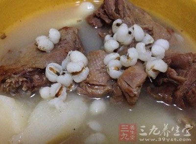 薏米山藥老鴨湯