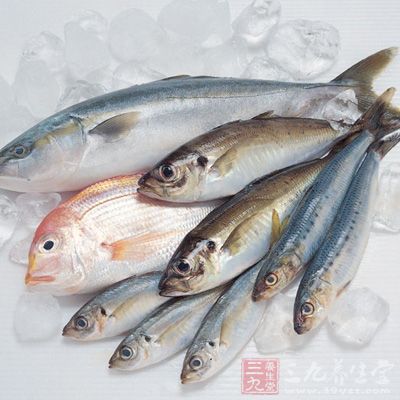 經常吃魚可以防止早產