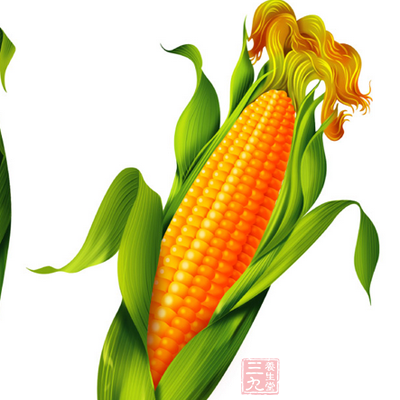 玉米須茶:降壓、降糖、利尿糖尿病人服食十分好 玉米須茶:降壓、降糖、利尿糖尿病人服食十分好