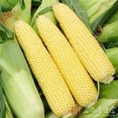 相比甜玉米,用糯米玉米做出來的玉米汁 相比甜玉米,用糯米玉米做出來的玉米汁