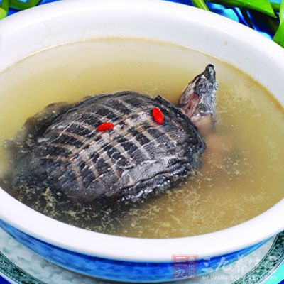 清炖甲魚湯操作