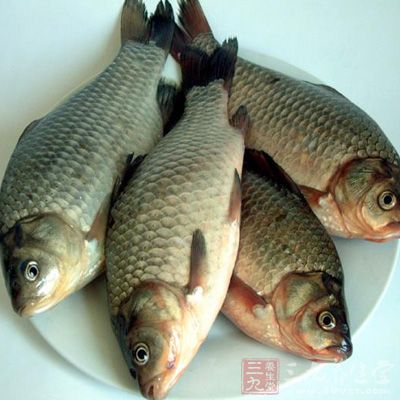 鲫魚是中國重要食用魚類之一