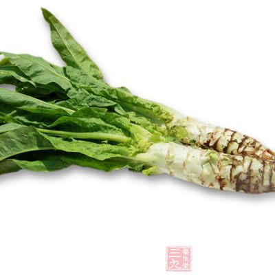 莴苣味道清新且略帶苦味，可刺激消化酶分泌，增進食欲
