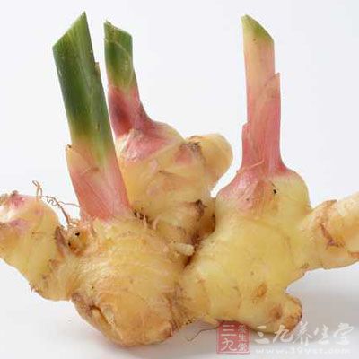 輔料:蔥姜,老湯鹽,胡椒粉,雞精 輔料:蔥姜,老湯鹽,胡椒粉,雞精