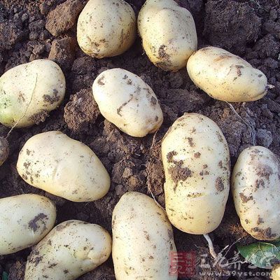土豆不僅不會使人發胖，還有愈傷、利尿、解痙的功效