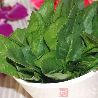 菠菜對缺鐵性貧血有改善作用