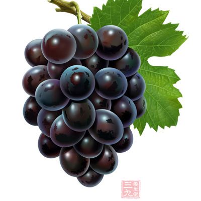 但是,葡萄性涼,不宜一次進食太多 但是,葡萄性涼,不宜一次進食太多