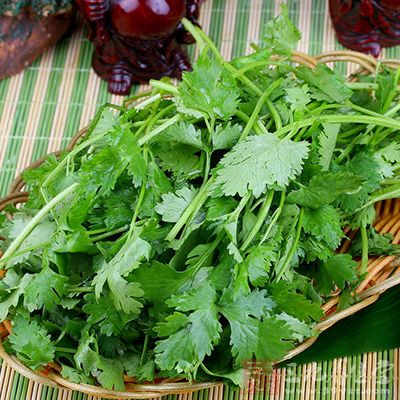 香菜排毒有奇效 香菜排毒有奇效
