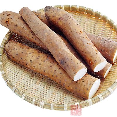 山藥是很好的蔬菜,同時山藥也是不可多得的藥材 山藥是很好的蔬菜,同時山藥也是不可多得的藥材