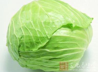 圓白菜被大家譽為天然的胃菜