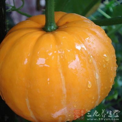 南瓜性溫，味甘，入脾、胃經