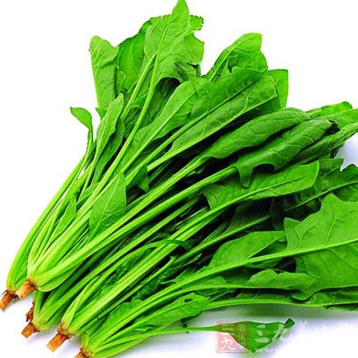 在日常的生活中適量的多吃菠菜 在日常的生活中適量的多吃菠菜