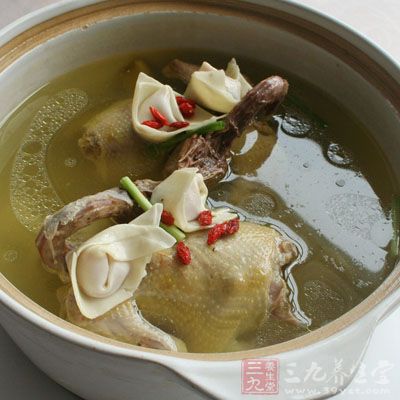 產婦喝鴿子湯回奶嗎