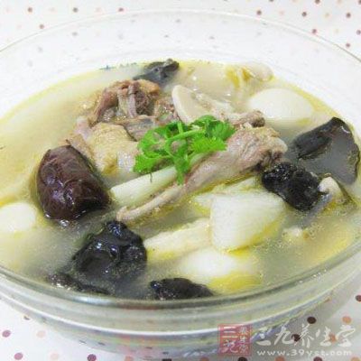 鴿子湯的做法