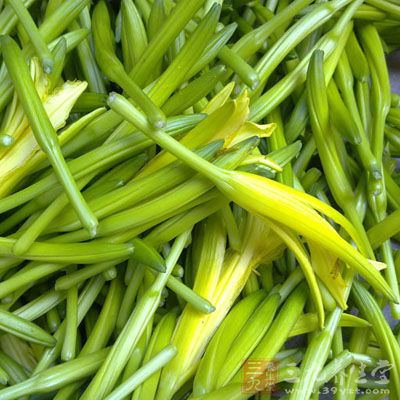 金針菜營養成分十分豐富