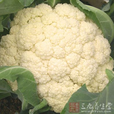 花菜的維生素C含量極高，不但有利於人的生長發育，更重要的是能提高人體免疫功能