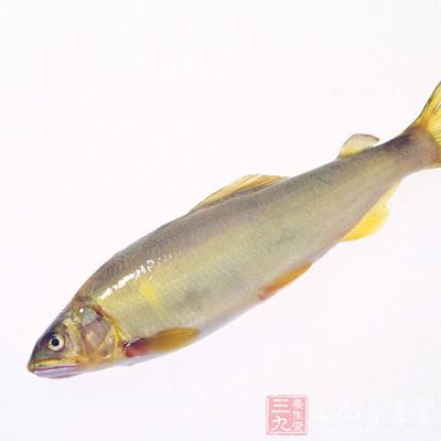 原料:小黃魚 原料:小黃魚