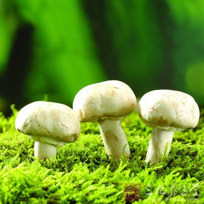 把蘑菇洗淨，撕成大片