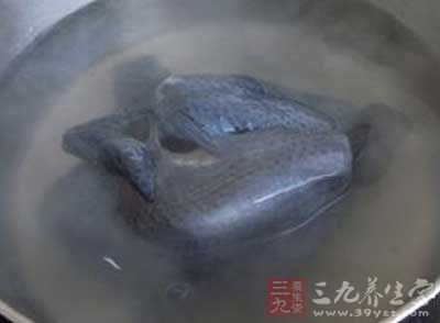 烏雞冷水下鍋