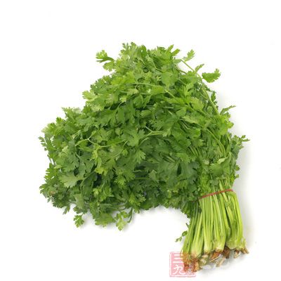 芹菜含有蛋白質、脂肪、碳水化合物、纖維素、維生素、礦物質等營養成分