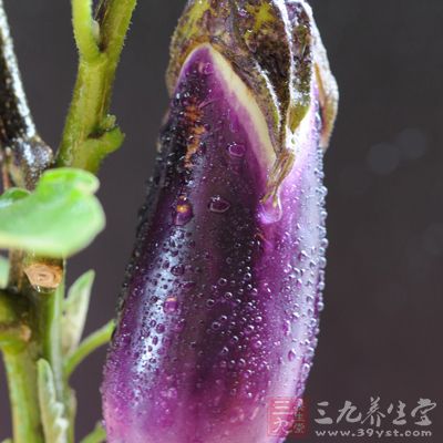 材料:紫色長茄子2個 材料:紫色長茄子2個