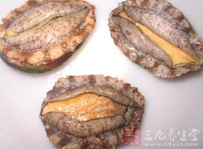 鮑魚不僅是一種珍貴的食材，它的營養價值也是非常大的