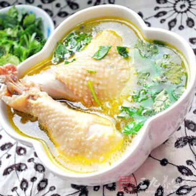 鐵觀音炖雞湯 鐵觀音炖雞湯