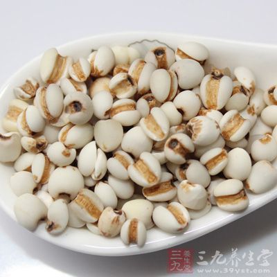 薏米是常用的中藥，又是普遍、常吃的食物