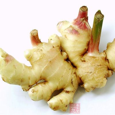 姜:最好是姜芽 姜:最好是姜芽