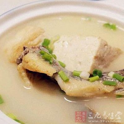 豆腐泥鳅湯
