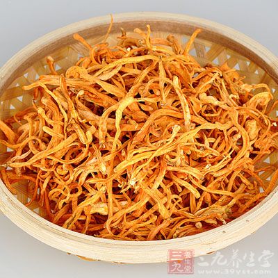 蟲草花有雄性激素樣作用