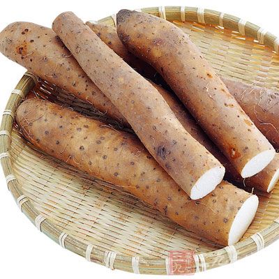 山藥的營養價值