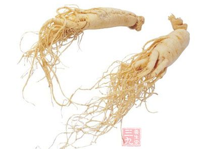 人參炖小雞排骨，這是一道地道的東北菜