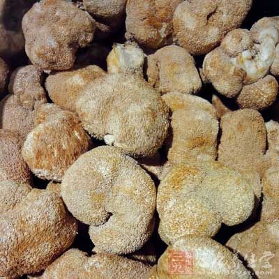 將猴頭菇進行切塊處理