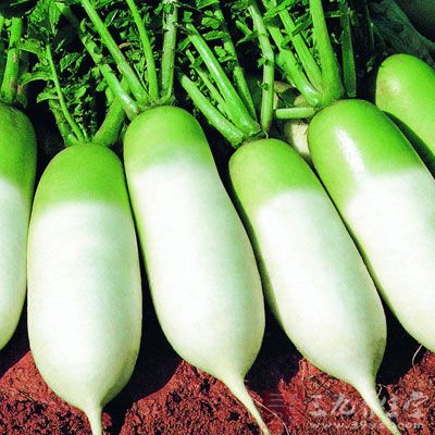 蘿卜的營養價值