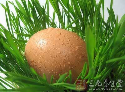 主料:紫菜5克,雞蛋1個 主料:紫菜5克,雞蛋1個