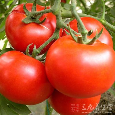西紅柿含的“西紅柿素”