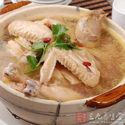 炖老母雞湯的竅門