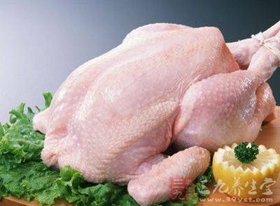 雞肉含豐富蛋白質，其脂肪中含不飽和脂肪酸