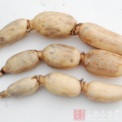 藕含有大量的單寧酸，有收縮血管作用